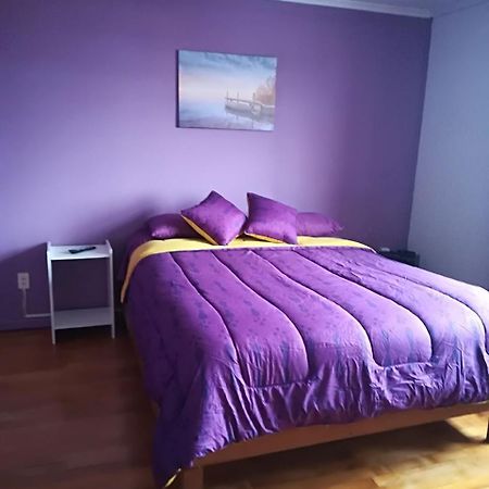 Puq Casa Amigos Lejlighed Punta Arenas Eksteriør billede