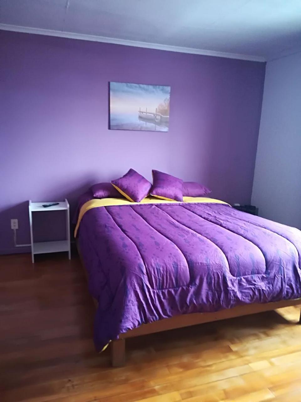 Puq Casa Amigos Lejlighed Punta Arenas Eksteriør billede